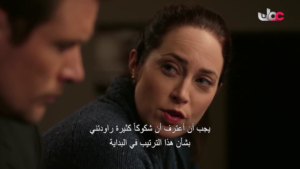 المسلسل البدوي/صقار