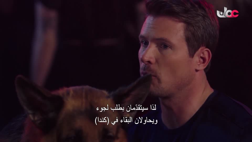 برنامج/منهاج