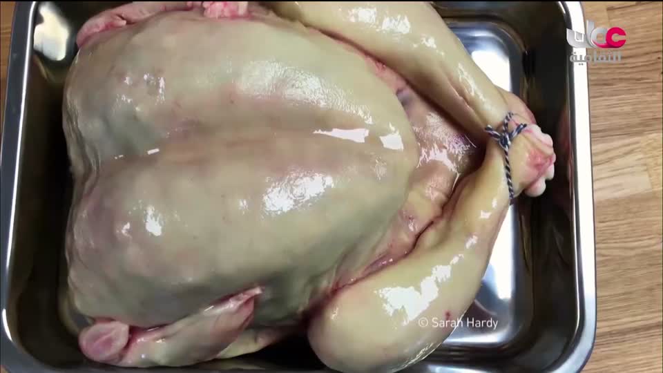 البرنامج الثقافي - ديكورات - الحلقة 8