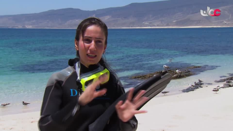 برنامج/سحر الأعماق