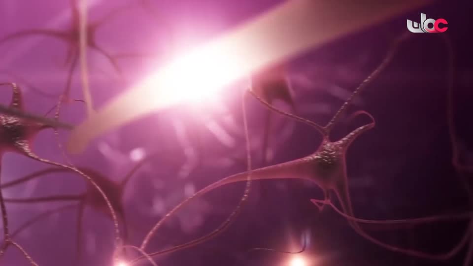 المسلسل الكرتوني - الاليون الصغار - الحلقة 20