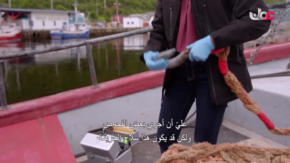 المسلسل البدوي/صقار