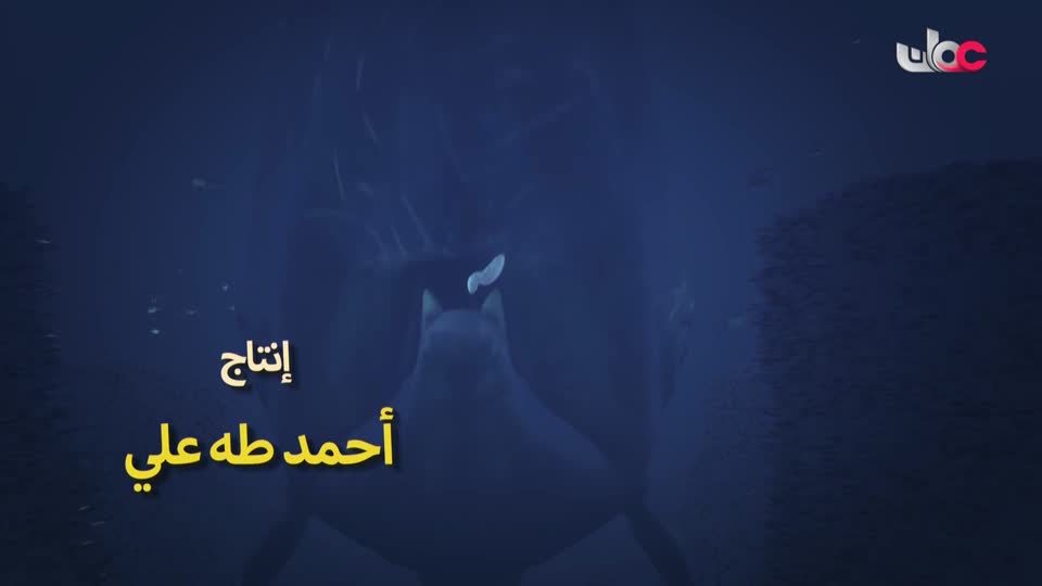 المسلسل الكرتوني آية ودعاء - الحلقة 8