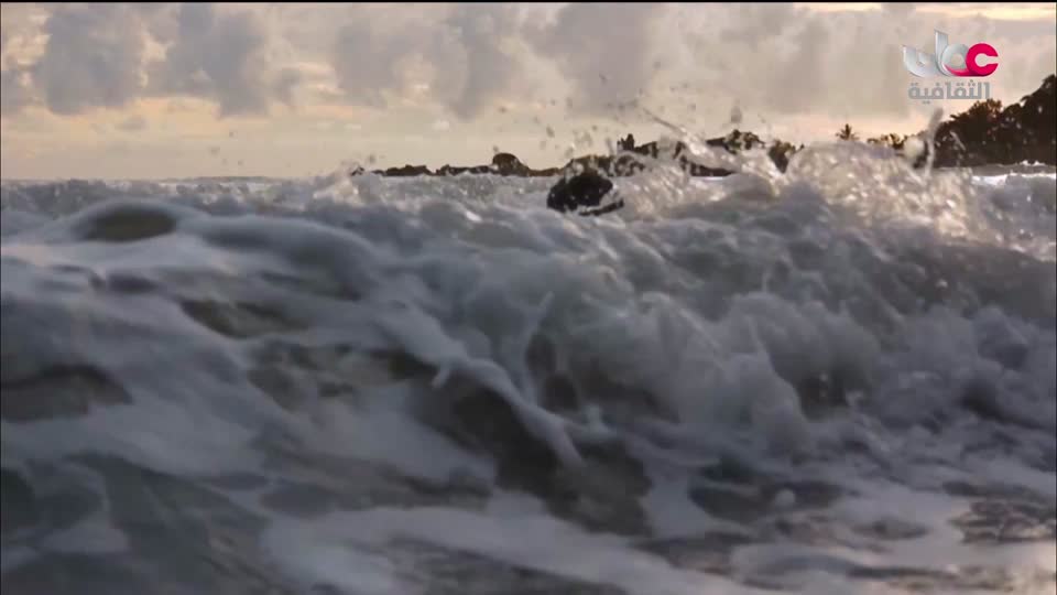 البرنامج الثقافي - أسرار الدماغ ج2