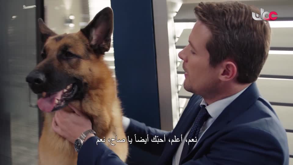 القران الكريم