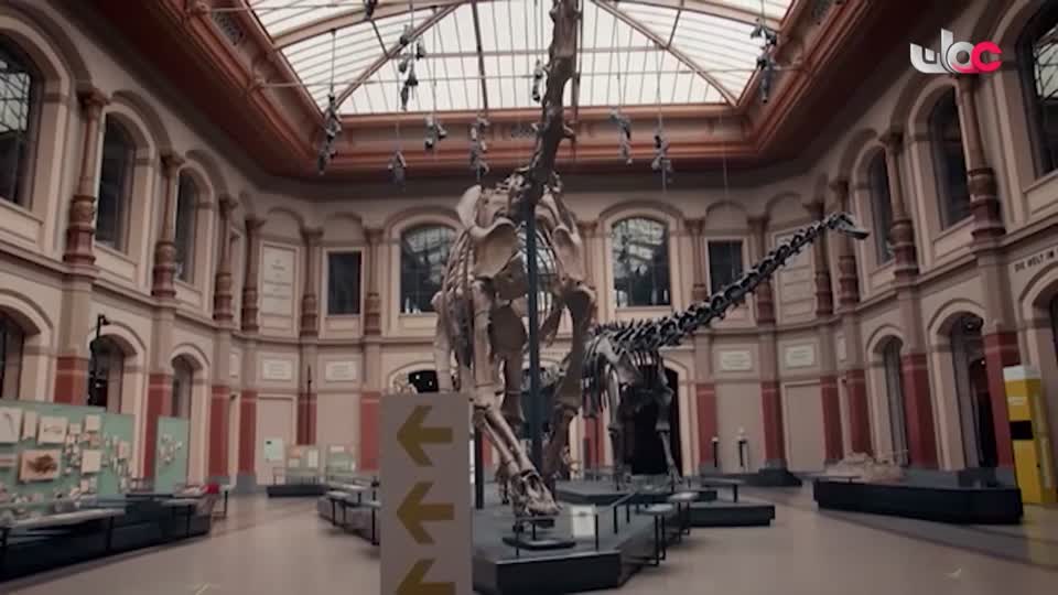 برنامج/طاقة الحياة