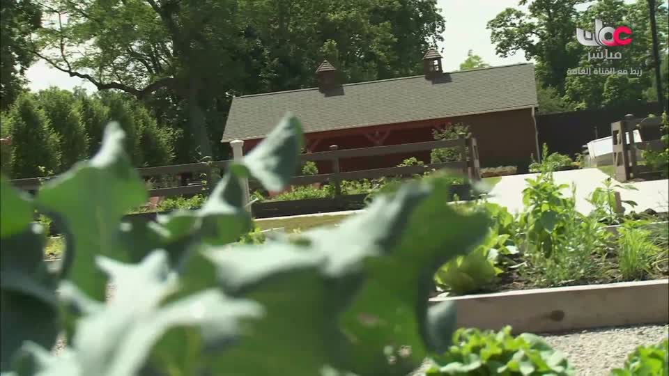 HUDSON AND REX - المسلسل الاجنبي - الحلقة 20