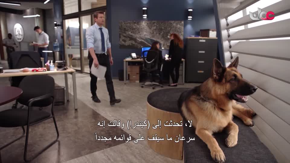 برنامج/منهاج