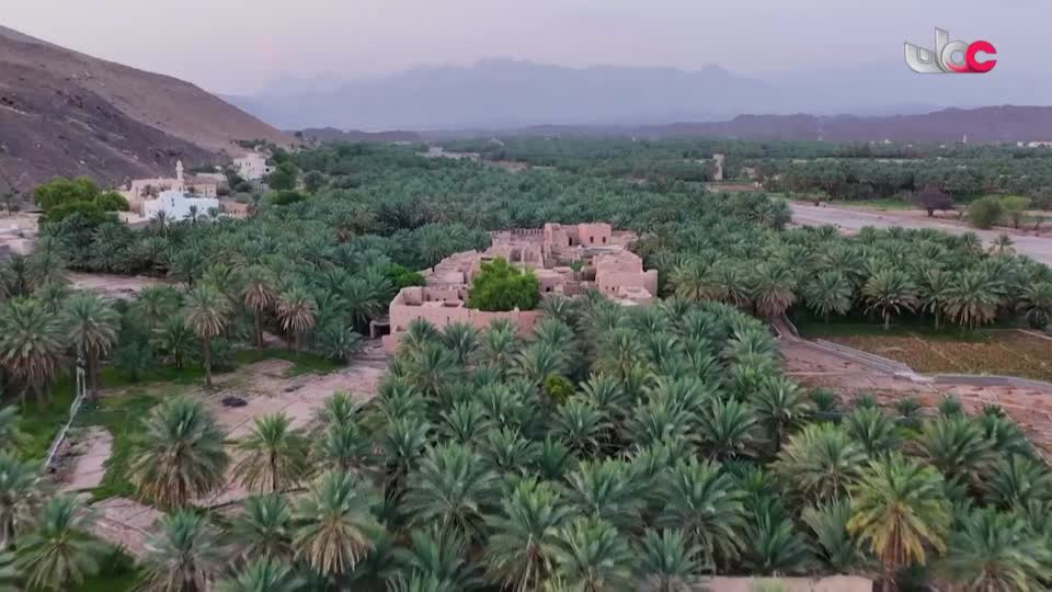 أخبار الواحدة