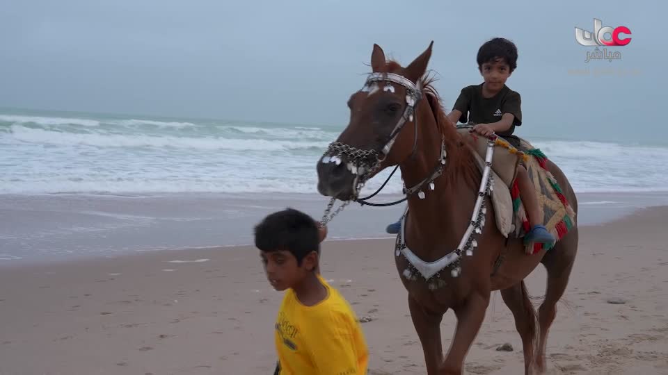 أخبار الحادية عشر