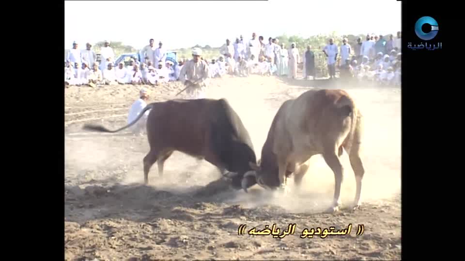 زمان الرياضة ج2 2024 - الحلقة 21