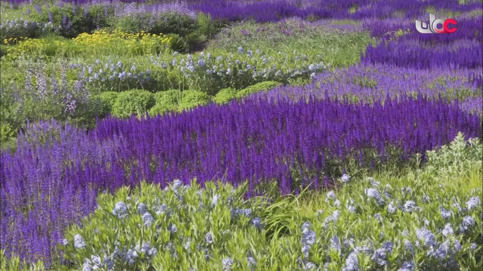 برنامج - نحو عالم اكثر اخضرارا - الحلقة 20