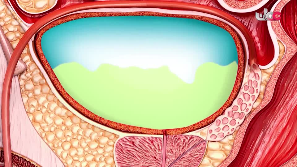 المسلسل الكرتوني - الاليون الصغار - الحلقة 23