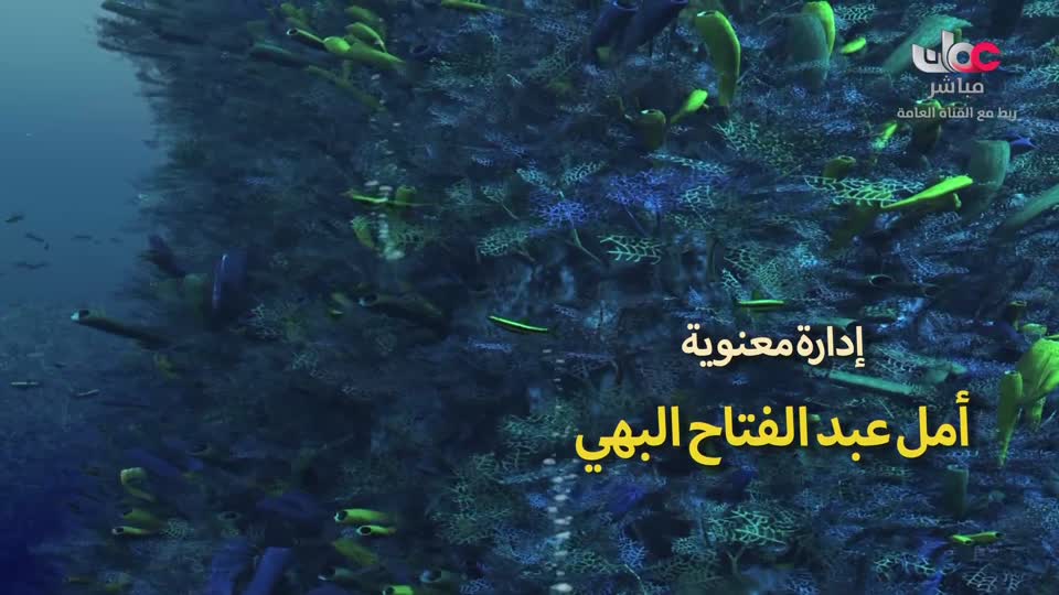 المسلسل الكرتوني آية ودعاء - الحلقة 11