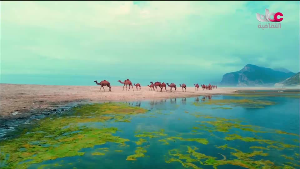 البرنامج الثقافي - هل تعلم ج2 - الحلقة 52