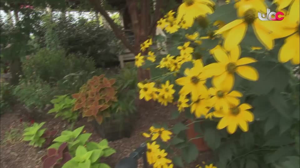 برنامج - نحو عالم اكثر اخضرارا - الحلقة 21