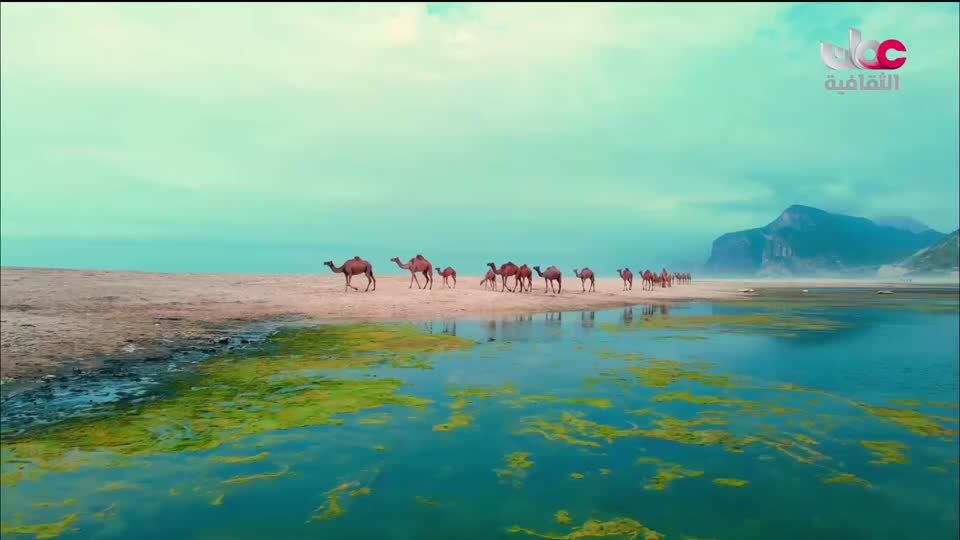 برنامج - روائع من اليابان - الحلقة 177