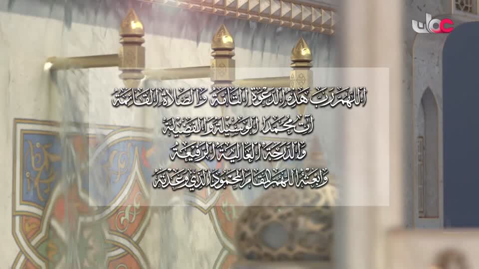 برنامج/أفنان