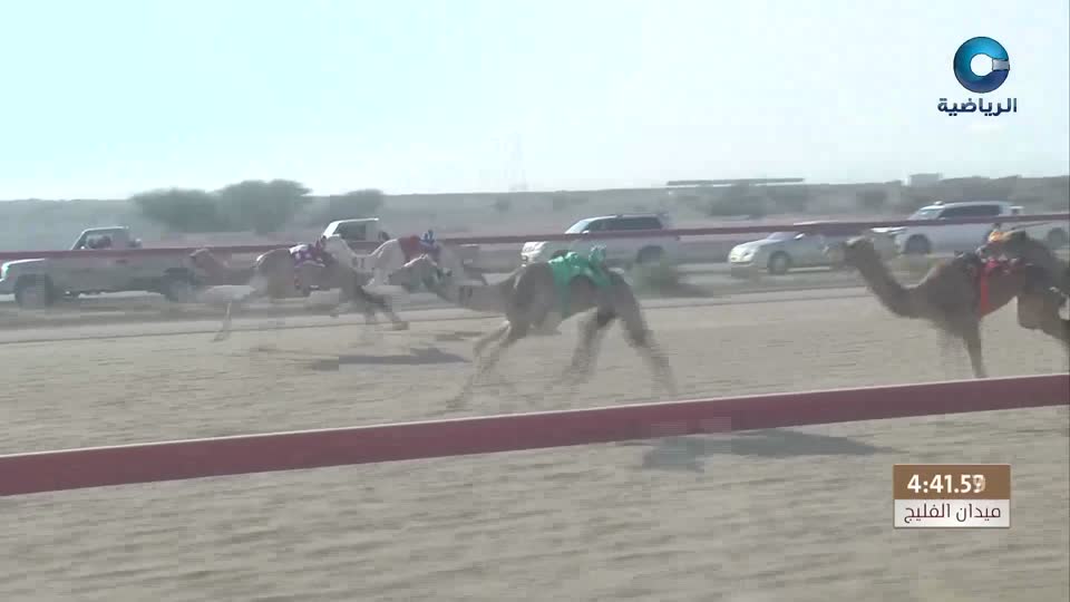 فعاليات الطاولة