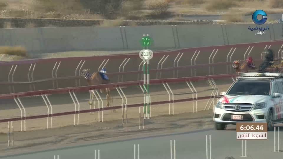 اليابان × بلغاريا - دوري الامم لكرة الطائرة 2020