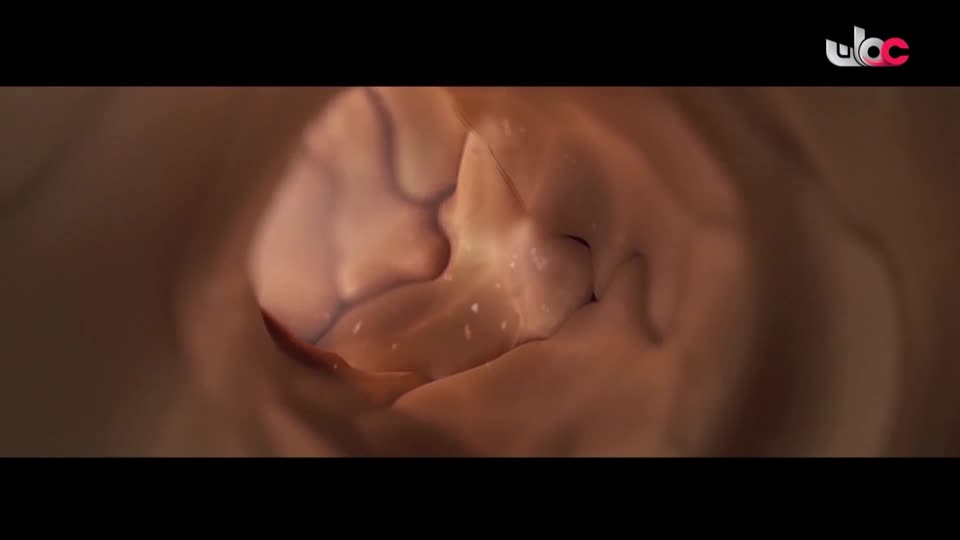 HUDSON AND REX - المسلسل الاجنبي - الحلقة 23