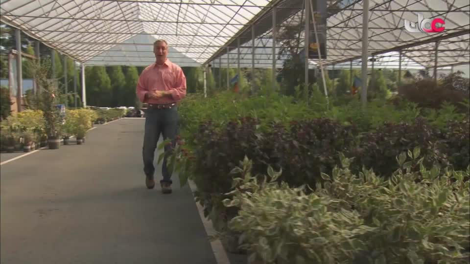 برنامج - نحو عالم اكثر اخضرارا - الحلقة 22