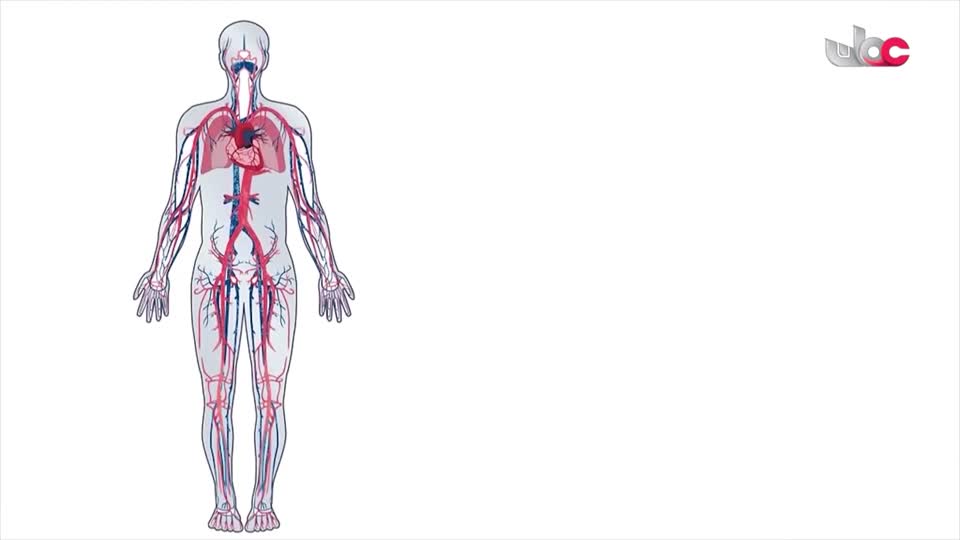 برنامج - اسرار الجسد - الحلقة 22