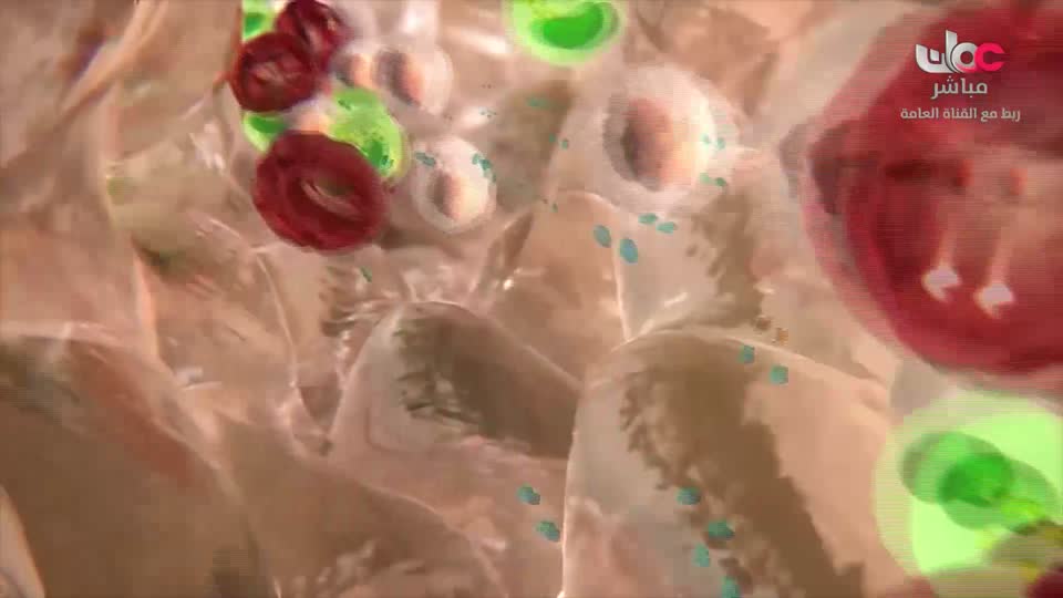 برنامج - اسرار الجسد - الحلقة 22