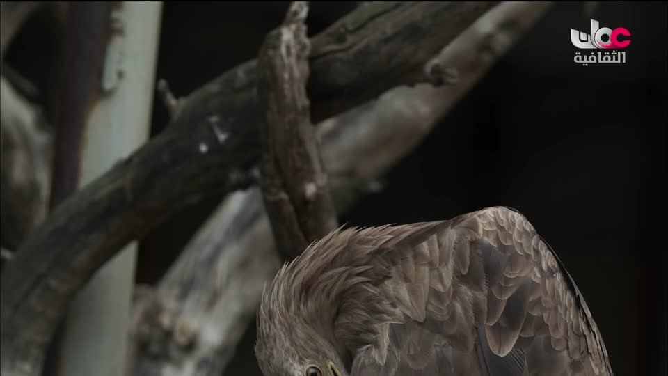 البرنامج الثقافي طرقات وعرة - الحلقة 2