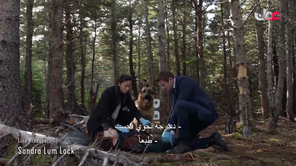 مناشدة+منهاج