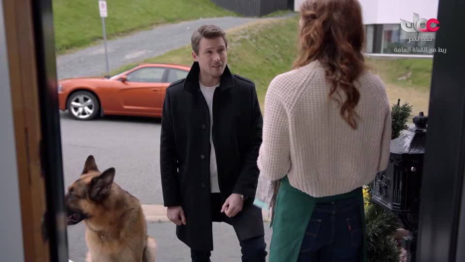 برنامج/منهاج