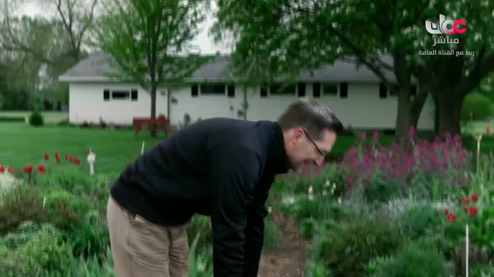 المسلسل الكرتوني - الاليون الصغار - الحلقة 25