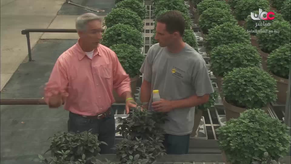 برنامج - نحو عالم اكثر اخضرارا - الحلقة 22