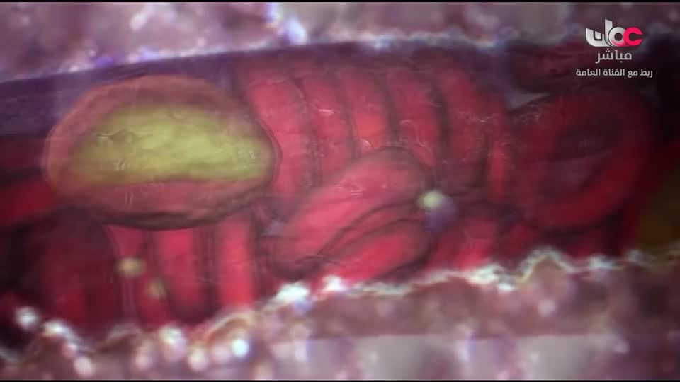 HUDSON AND REX - المسلسل الاجنبي - الحلقة 24