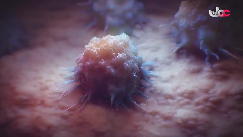 المسلسل الكرتوني - الاليون الصغار - الحلقة 26