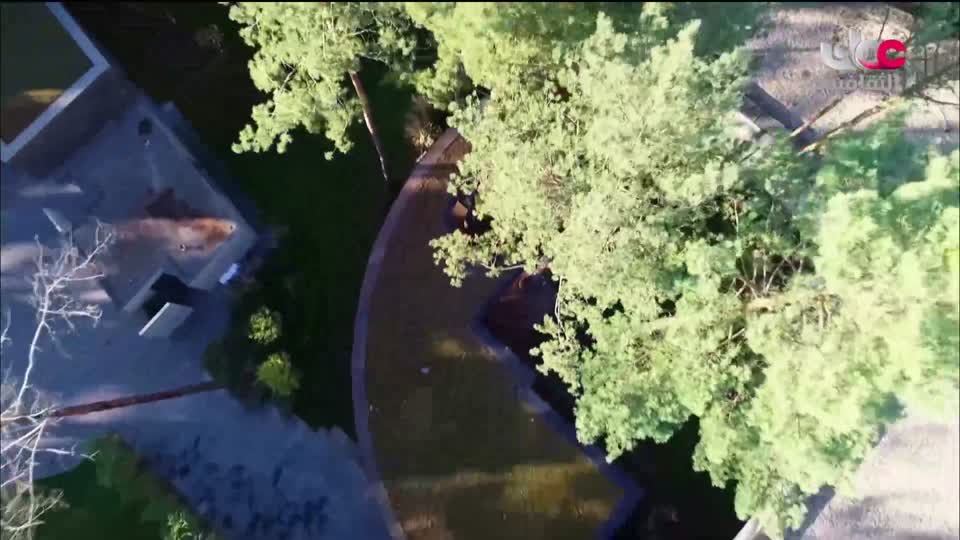 البرنامج الثقافي - ديكورات - الحلقة 9