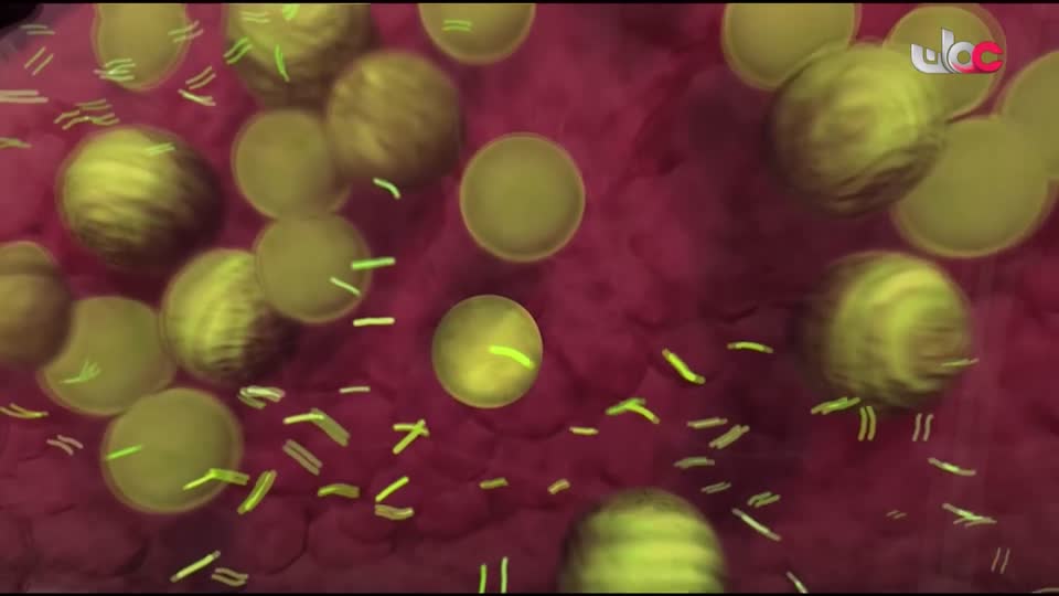 HUDSON AND REX - المسلسل الاجنبي - الحلقة 24