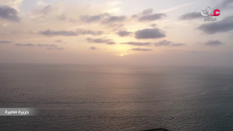 برنامج/أفنان