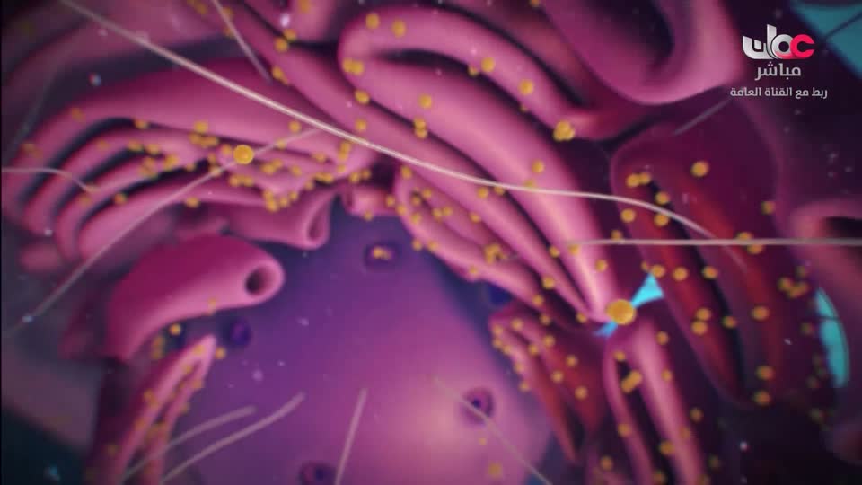 المسلسل الكرتوني - الاليون الصغار - الحلقة 26