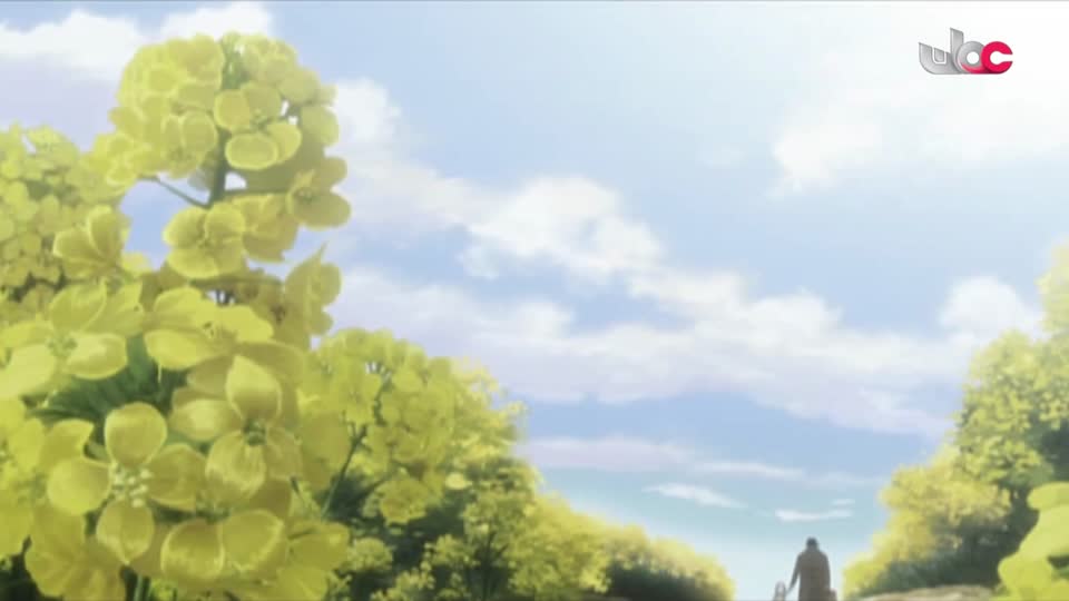 المسلسل الكارتوني للأطفال البؤساء