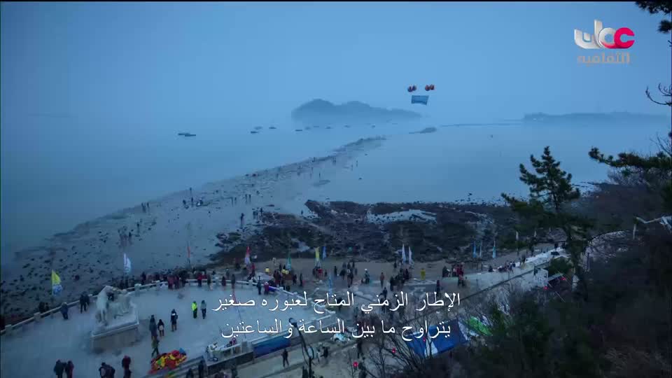 البرنامج الثقافي - عالم الأشجار