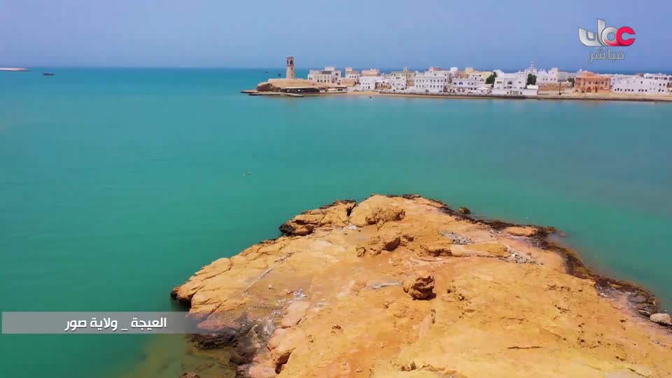 المسلسل الورقي/فريق الحماية