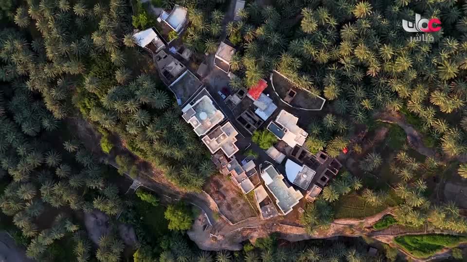 برنامج/عباب