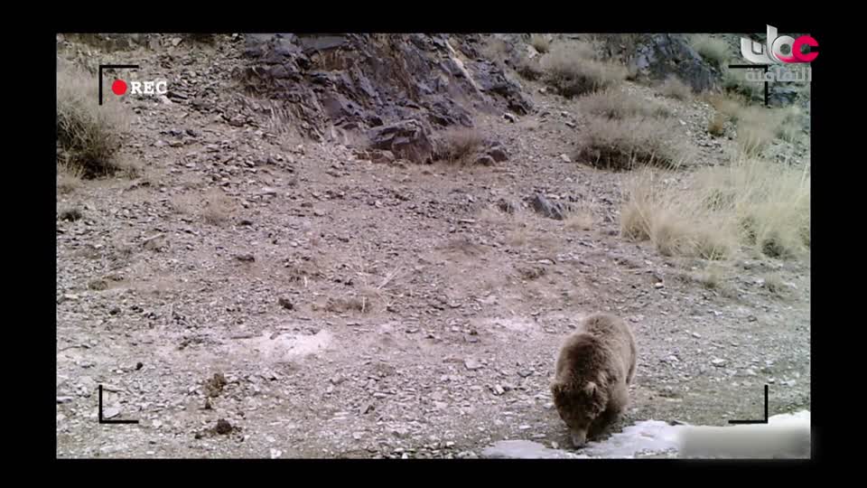 برنامج - غذاء وشعوب - الحلقة 28