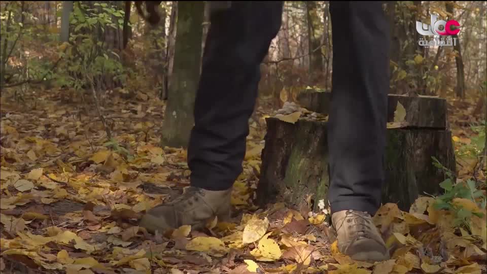 البرنامج الثقافي - عالم المعرفة - الحلقة 16