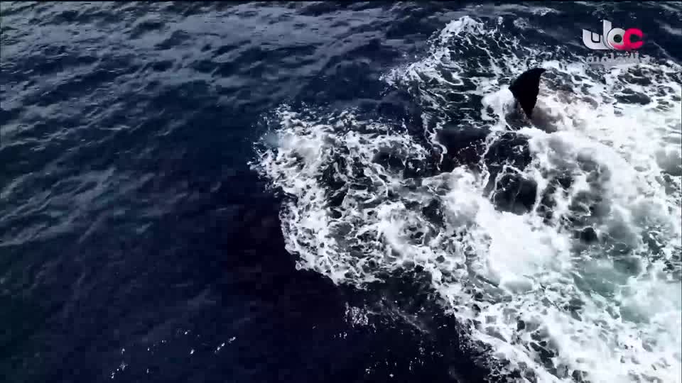 البرنامج الثقافي - رحلات جيولوجية - الحلقة 10