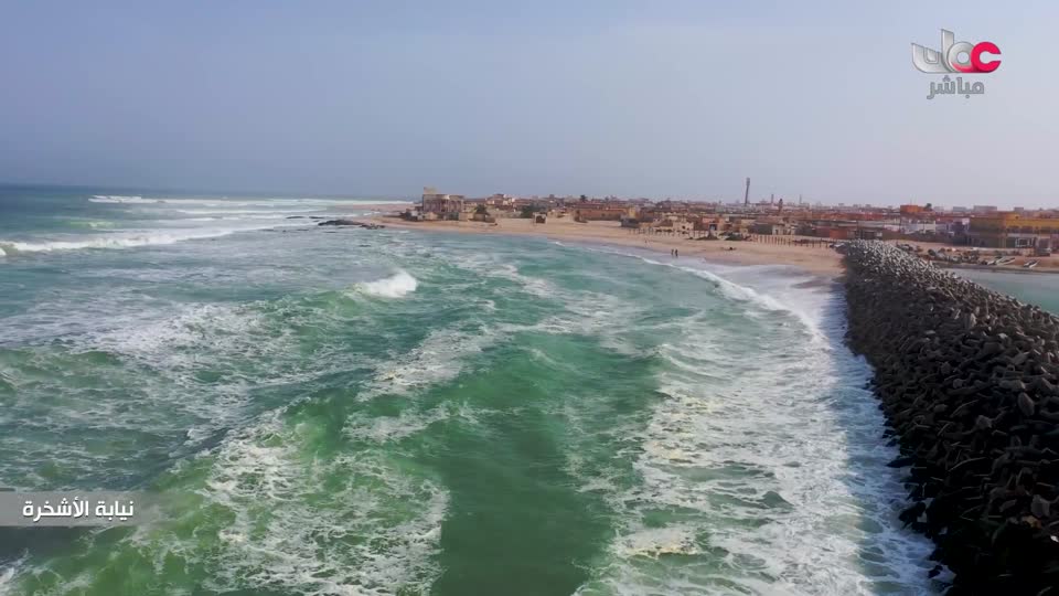 برنامج/طاقة الحياة