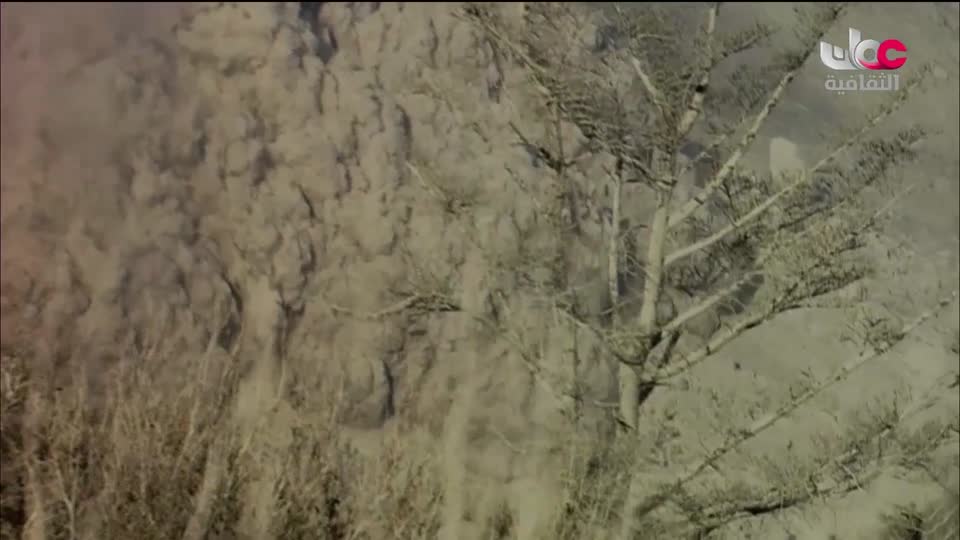 البرنامج الثقافي _ رغم من الصعاب - الحلقة 13