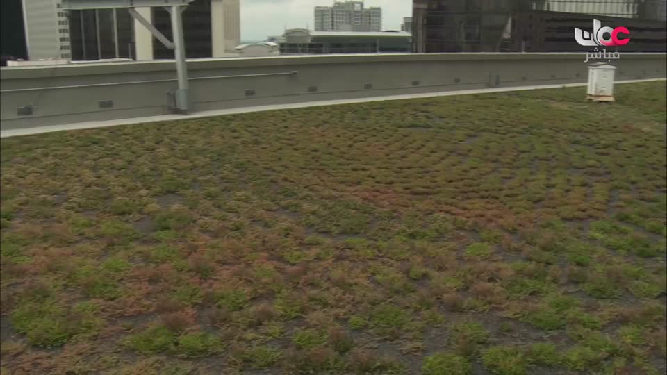 HUDSON AND REX - المسلسل الاجنبي - الحلقة 25