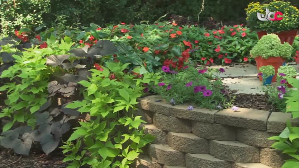 HUDSON AND REX - المسلسل الاجنبي - الحلقة 25